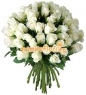 Buchet 49 trandafiri albi
